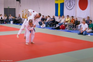 20160508 119 - Per Ottosson